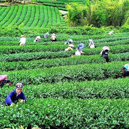 Tianyi Homestay Фэньчиху Экстерьер фото