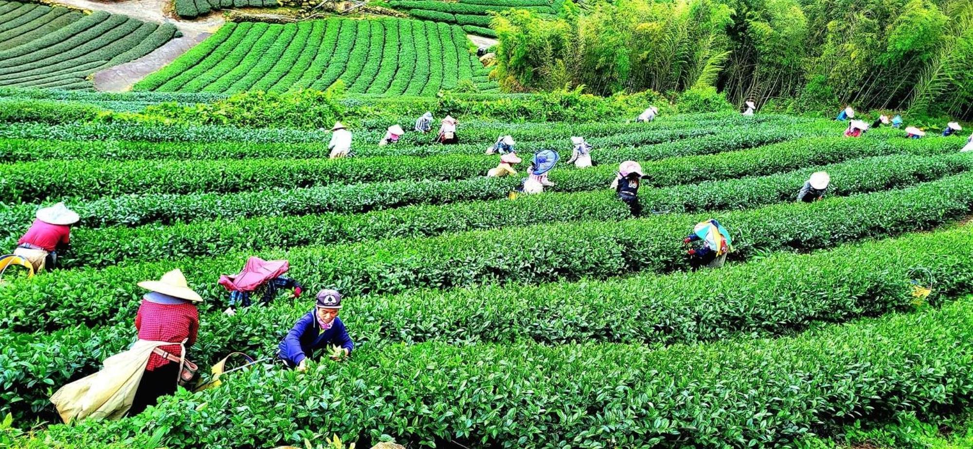 Tianyi Homestay Фэньчиху Экстерьер фото